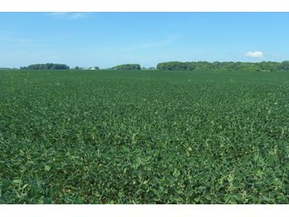 Farmland in Fulton & Marshall Counties, Indiana - LAND AUCTION - 541.3+/- ACRES IN 9 TRACTS IN FULTON & MARSHALL COUNTIES, INDIANA